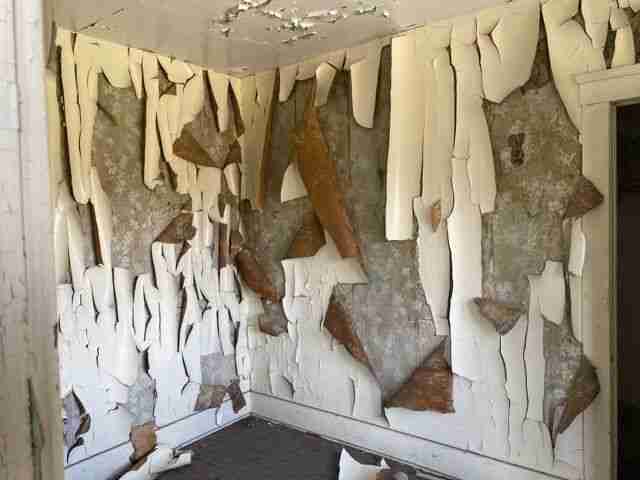 Testing again(51).jpg